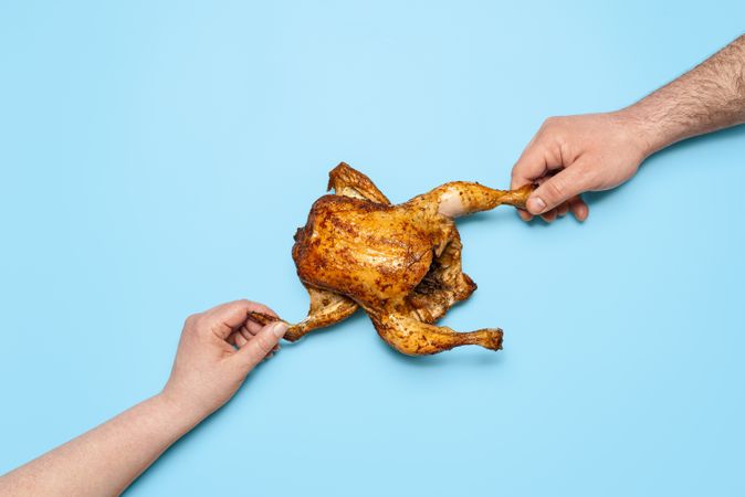 Eating roasted chicken on blue background