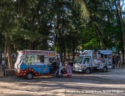 Bright street vendor trucks under palm trees 5qzwK4