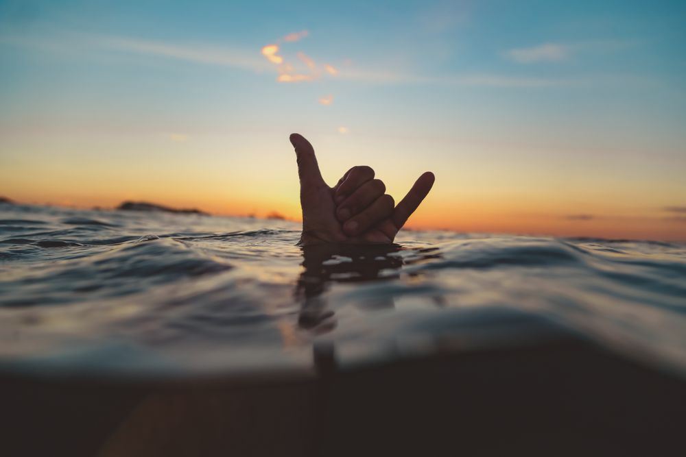 Hand with shaka gesture between water surface and sky at sunset