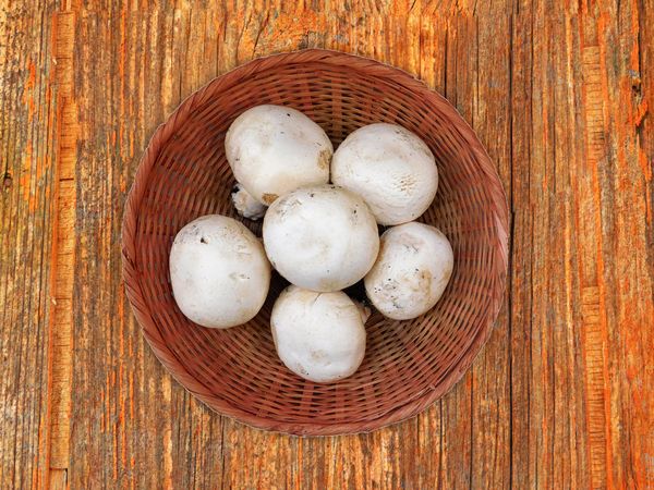 Mushrooms On The Wooden Background