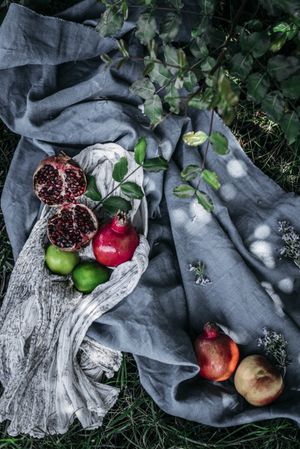 Various fruits lying on fabric on grass