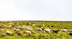 Rural mountain landscape in Georgia