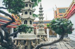 Plants and shrines in temple yard