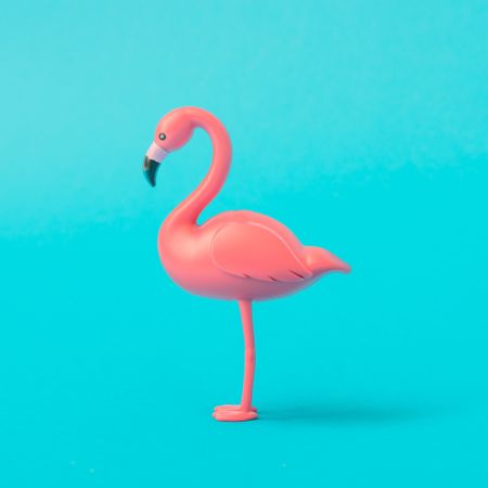 Flamingo on blue background