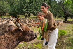 Happy mother and baby feeding cute donkeys in farmland
