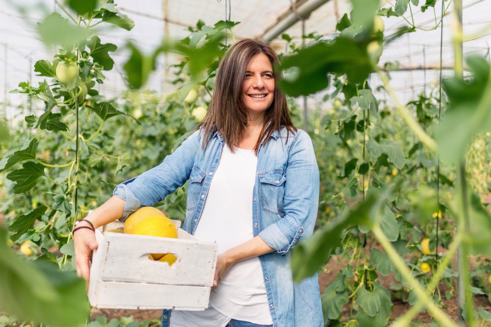 Smiling farmer carrying crate with crop in greenhouse