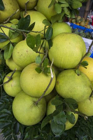 Fresh Fruits Green Pomelo (Citrus grandis) Displayed for sale in the Market of Bangladesh