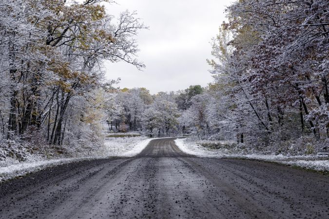 First snow and fall colors on a dirt road in McGregor, Minnesota