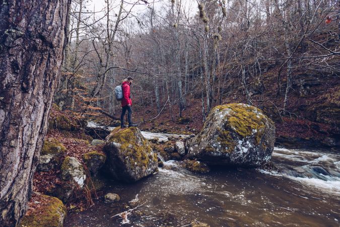 Tourist walking on stones in forest