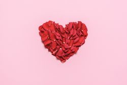 Rose petal heart, on pink background
