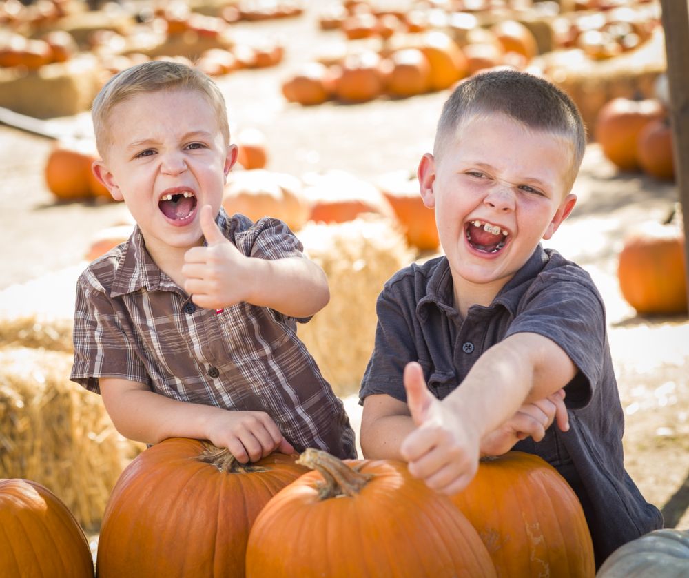 Two Boys Having Fun at the Pumpkin Patch