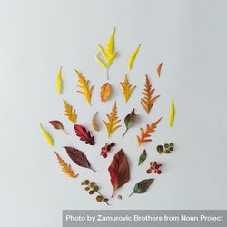 Autumn leaves and branches in shape of flame on light table background 0Pgemb