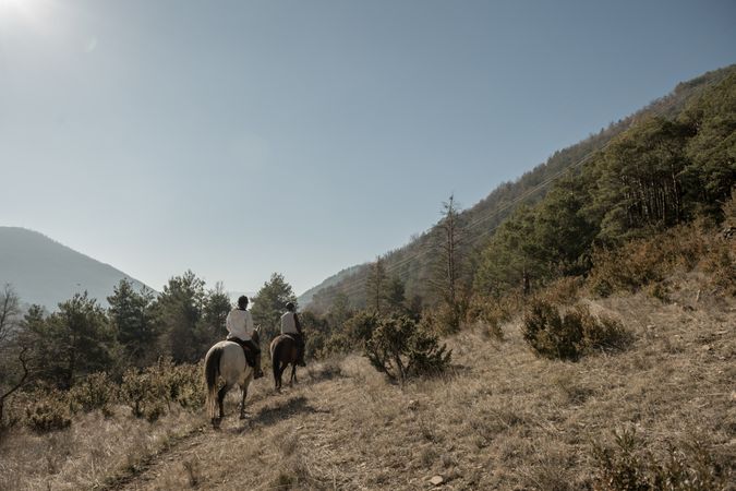 Anonymous people riding horses in brook