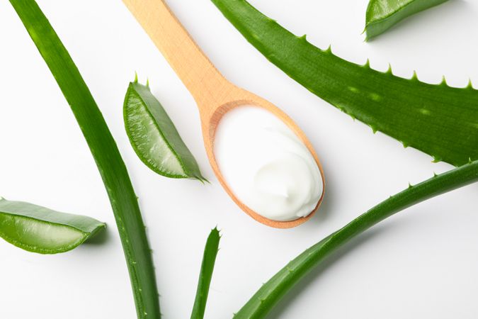 Composition with natural treatment accessories on plain background, closeup. Aloe vera