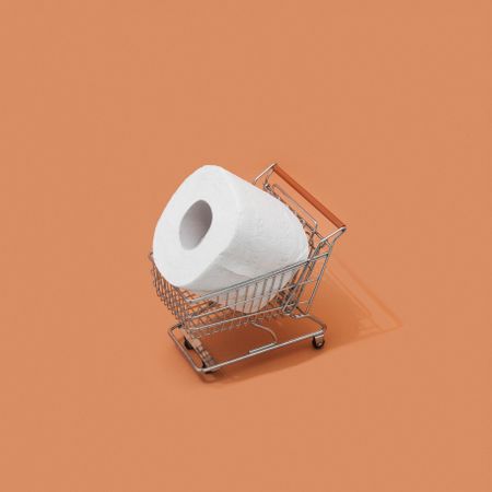 Shopping cart with giant toilet paper roll