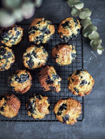 Homemade blueberry muffins on cooling rack over dark background.