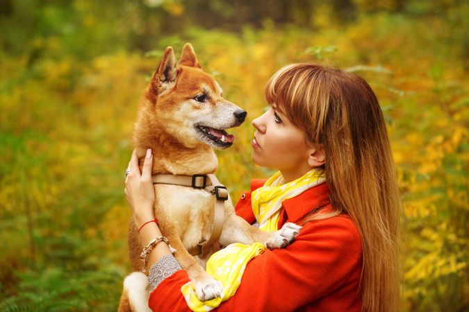 Female in red coat looking at her cute shibu dog standing in field