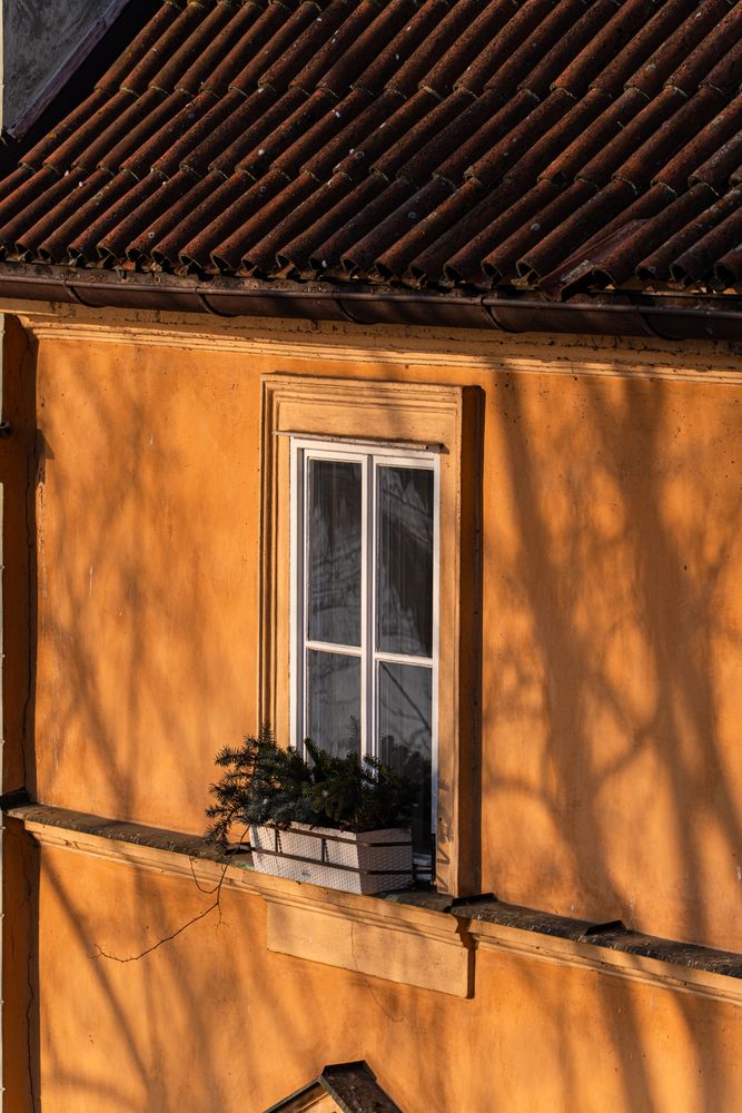 Decooration of the building in Old Prague