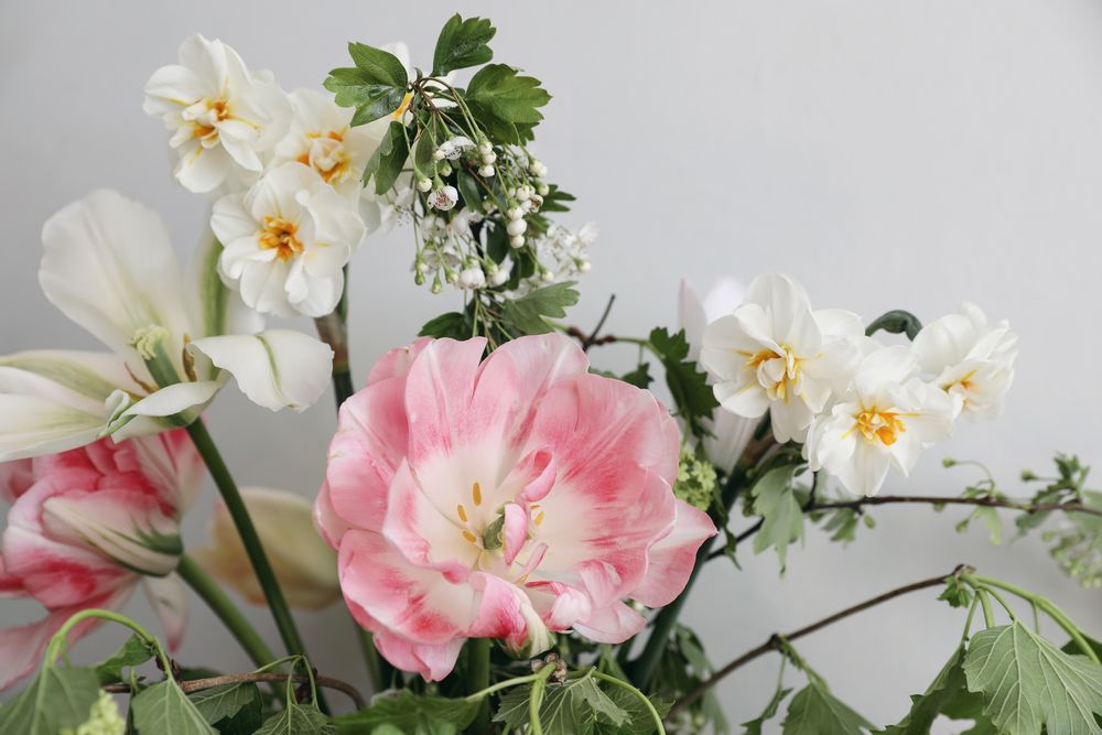 Close up of top of bouquet of flowers