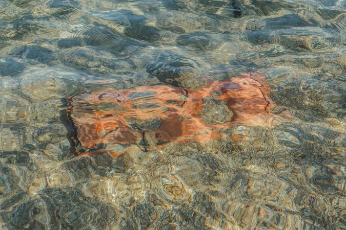 Plastic waste lying under water in sea