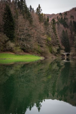 Hills and forest near calm lake