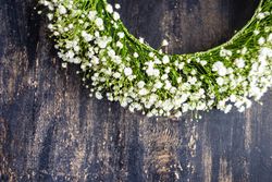 Wreath of gypsophila paniculata flowers on wooden table