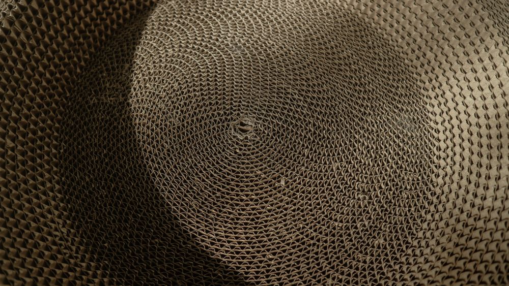 Cardboard Texture Unveiled