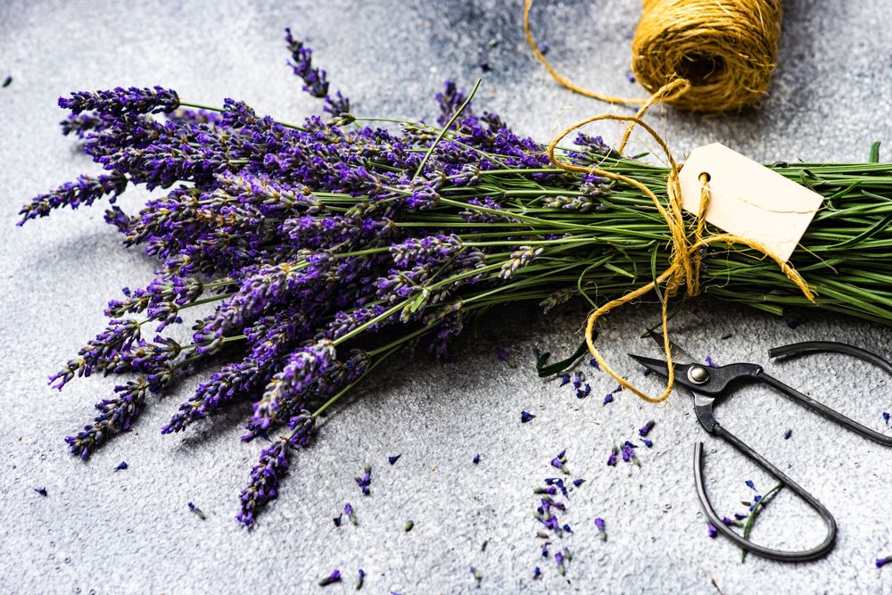 Bunch of lavender flowers wrapped with string and blank note