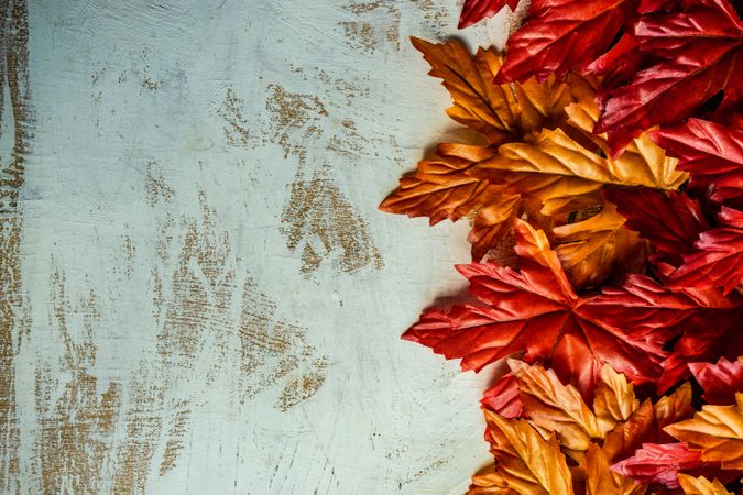 Flatlay of autumn leaves on rustic background with space for text