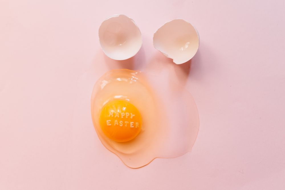 Fresh broken chicken egg with eggshell