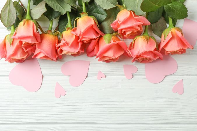 Beautiful orange roses with pink hearts on light background, space for text