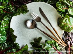 Fresh spinach leaves framing grey ceramic plate with cutlery 4NE8Qe