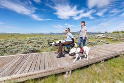 Exploring the Forces of the Northern Range boardwalk