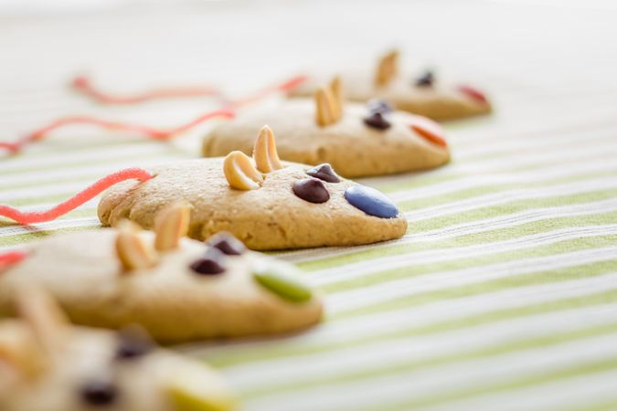 Cookies with mouse shaped and red licorice tail