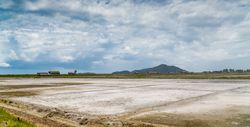 Spacious rural fields in tropical landscape