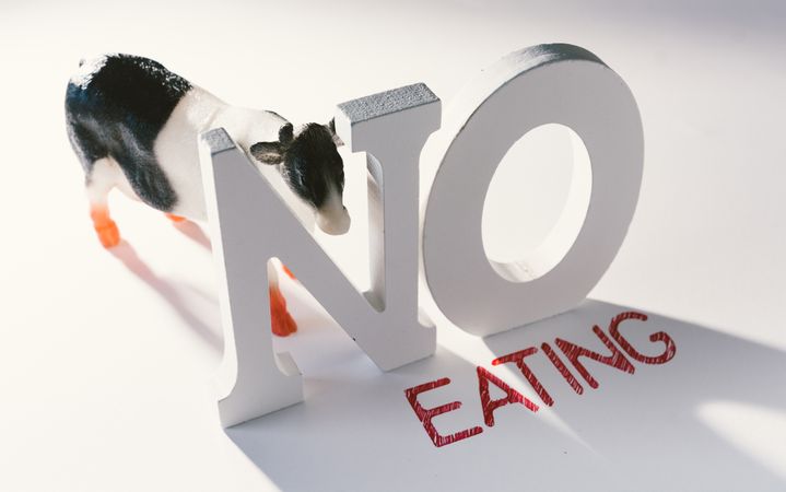 Concept of calling to stop eating animals