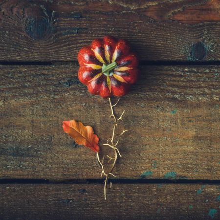 Flower concept made of pumpkin and autumn yellow leaf