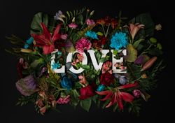 Top view of flowers on dark background with wooden letters spelling the word “love”