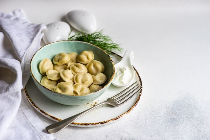 Delicious bowl of traditional Russian dumplings