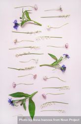 Lily of the valley, cornflowers and daisies in delicate rows over pastel powder pink, vertical 5akP8b