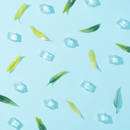 Pattern made of green leaves and ice cubes on pastel blue background