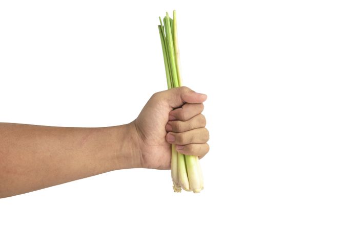lemongrass