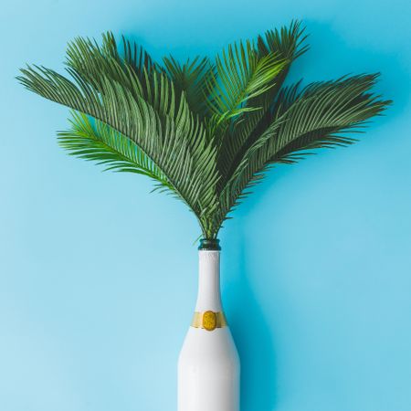 Champagne bottle with tropical green palm leaves on pastel blue background