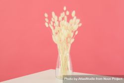 Dried flowers in glass vase on table against pink wall 4jJg84