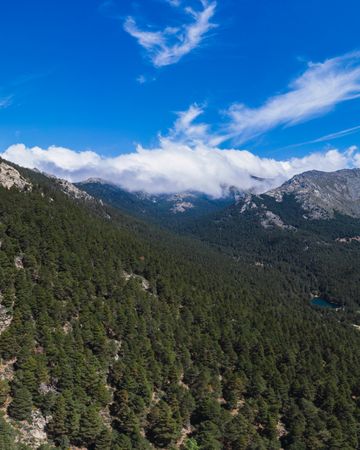 Mountains dotted with trees under blue sky