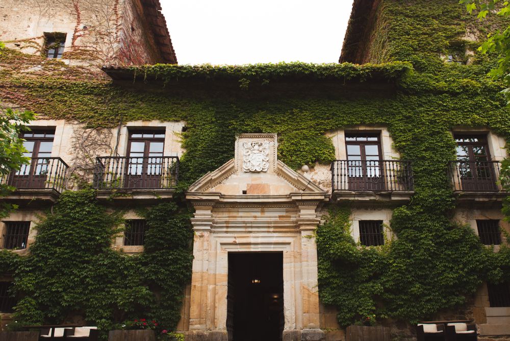 Aged house with plants on walls