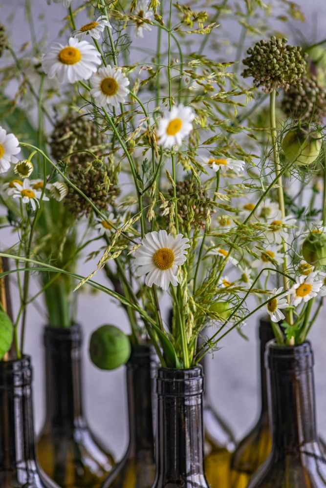 Wine bottles full of daisy flowers