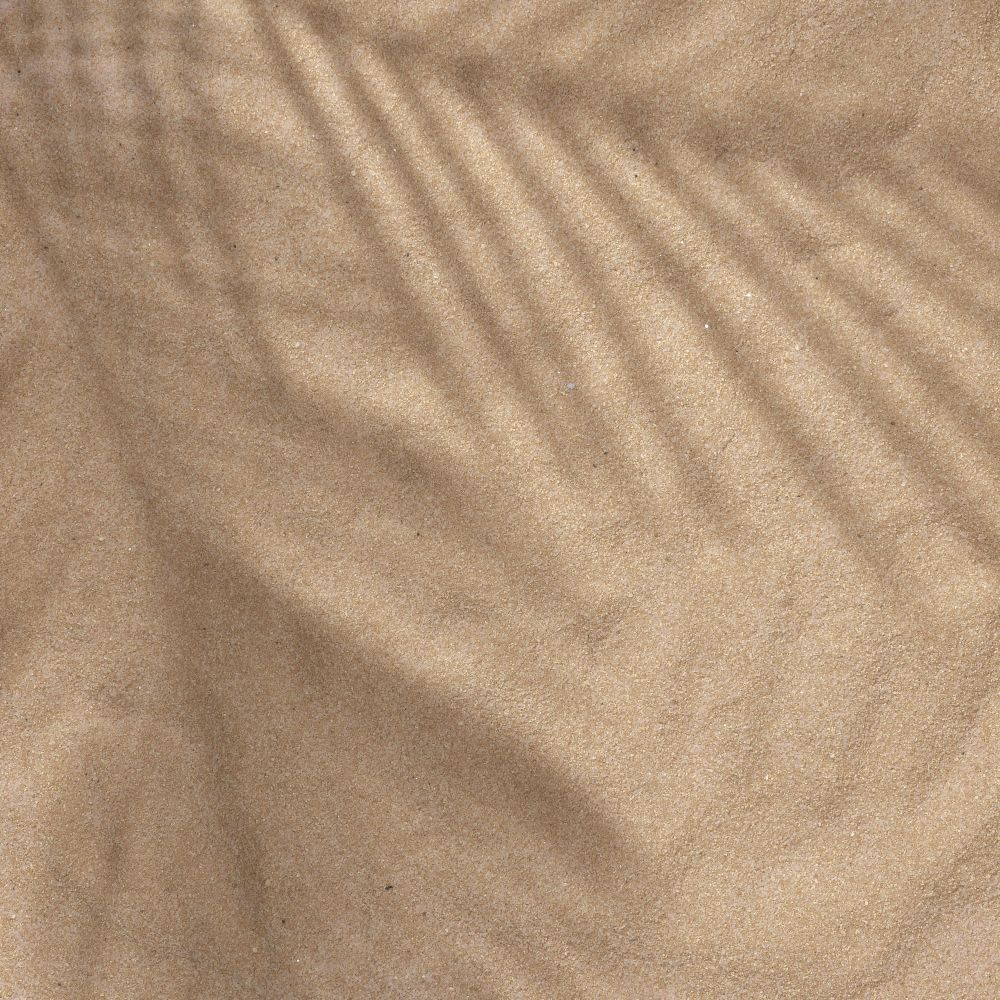 Sand with palm leaf shadows