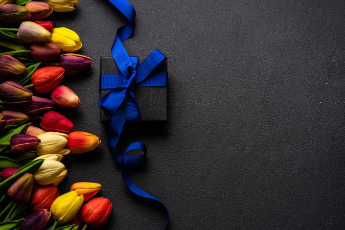 Present with blue ribbon with fresh tulips with copy space