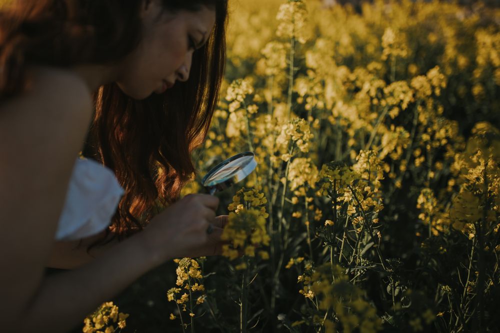 Woman with magnifying glass over field flower